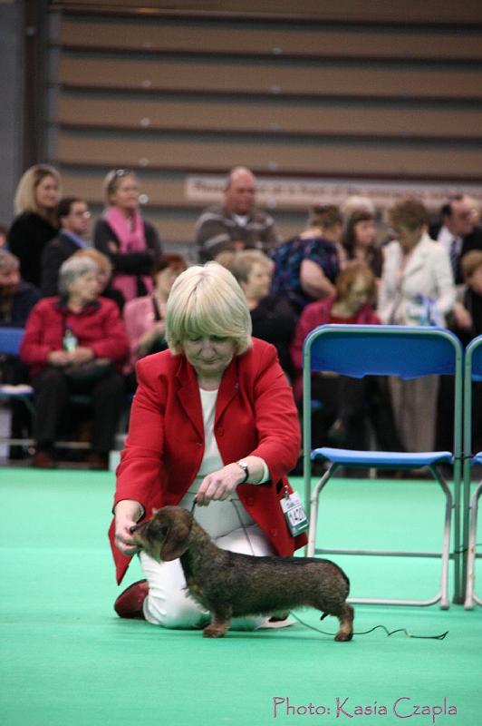 Crufts2011_2 1435.jpg